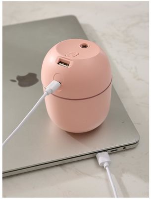 Andere Funktion Ultraschallbefeuchter H2o Mini Cup Spray Mist für Auto USB Luftbefeuchter