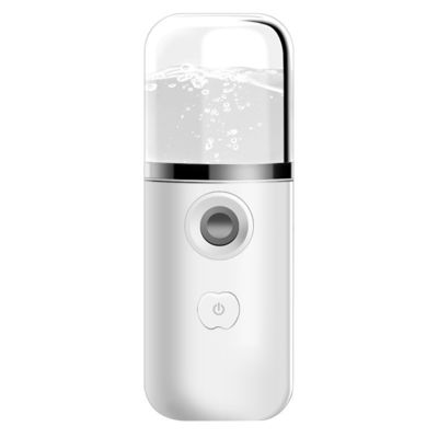 Portabler Taschennebeldampfer USB Wiederaufladbares Nano-Gesicht Mister Mini-Gesichtssprayer